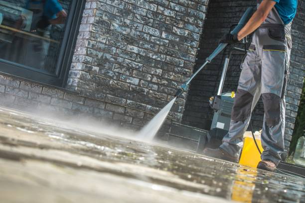 Best Soft Washing  in Kingston, NY